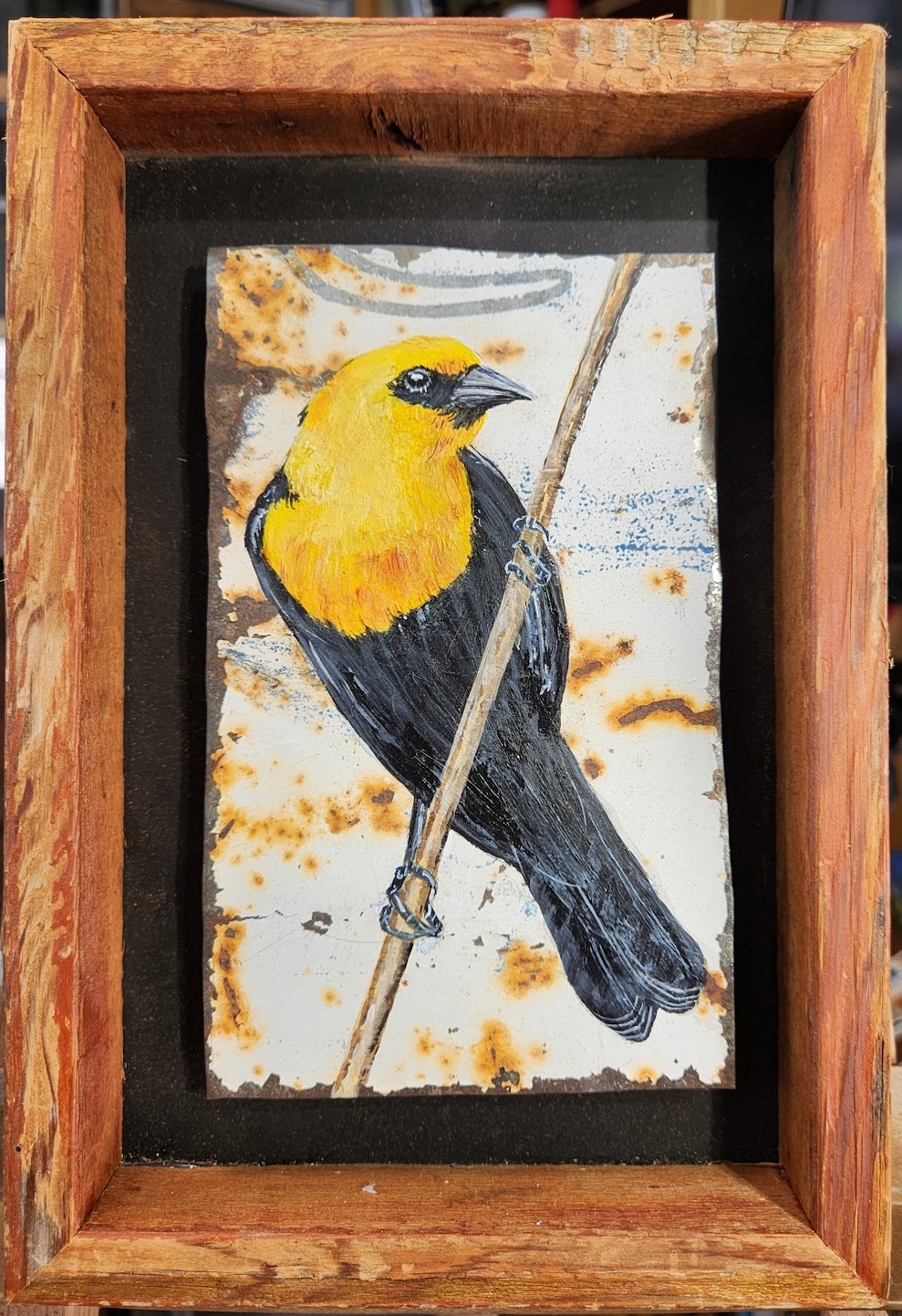 upcycled Yellow Headed Black Bird